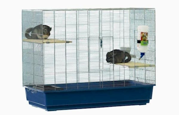 Клетки для шиншилл