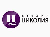 Приступили к созданию сайта